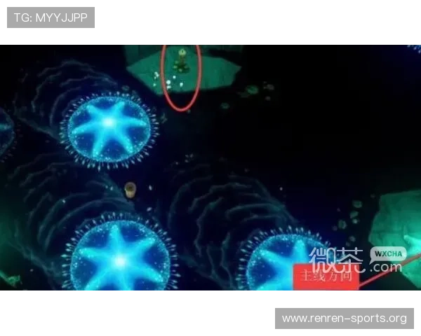 海星TV在游戏直播中的优势与特色，打造沉浸式观赛体验的最佳选择